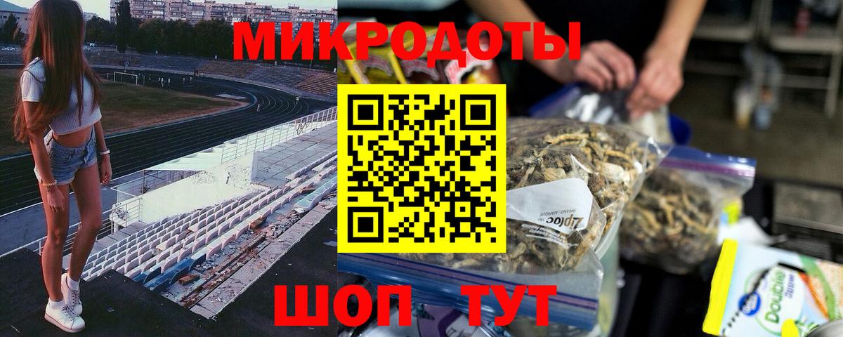 Галлюциногенные грибы Psilocybe Алейск